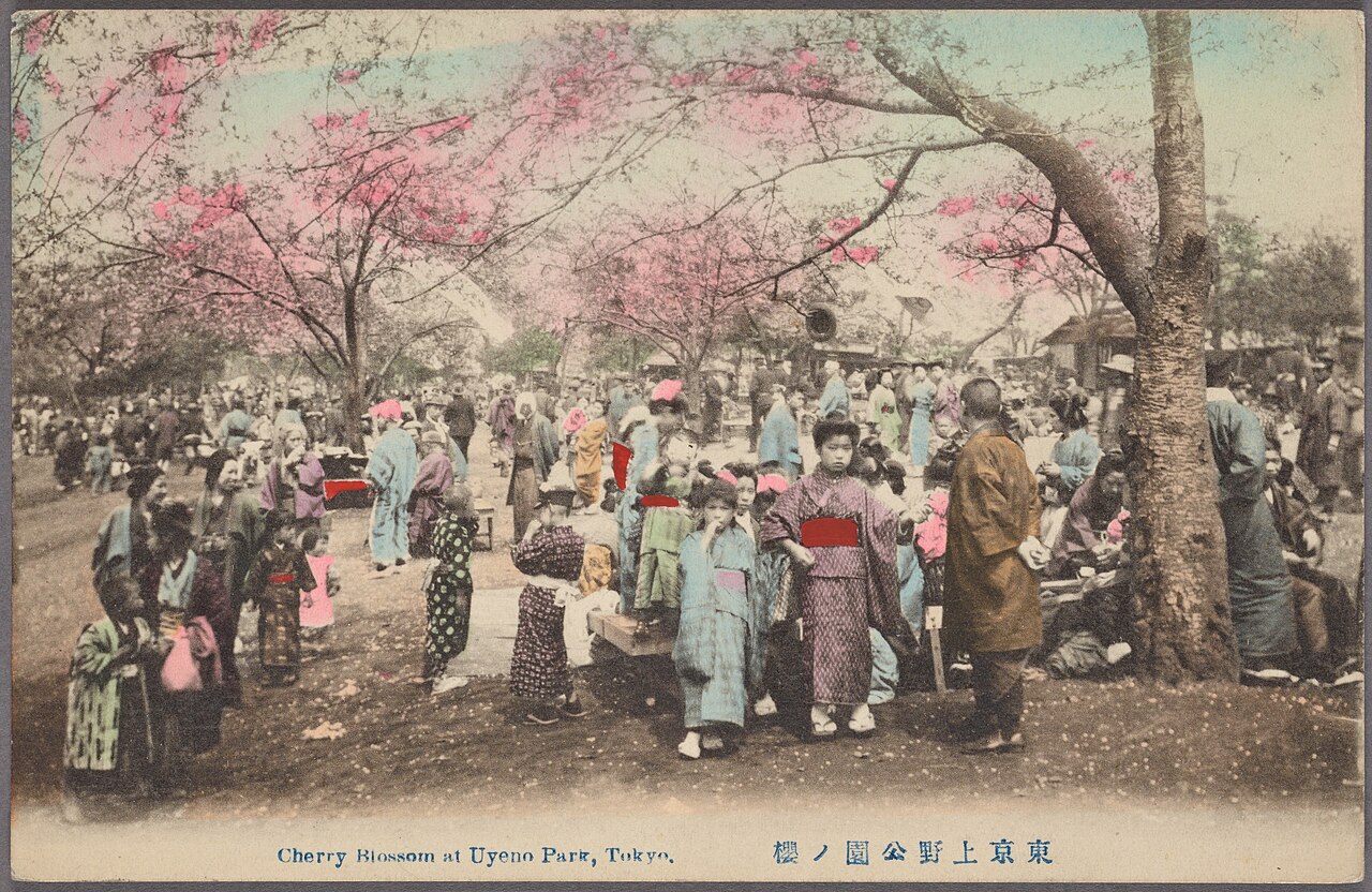 Cherry blossom at Uyeno Park, Tokyo (NYPL Hades-2360291-4044090)