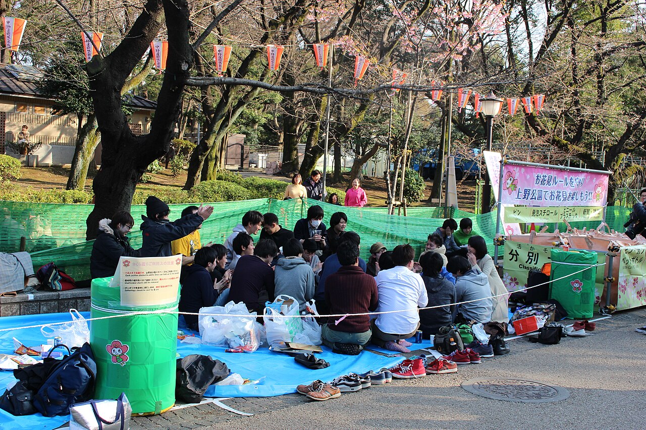 Hanami Matsuri picknick in Ueno park, Tokyo Japan