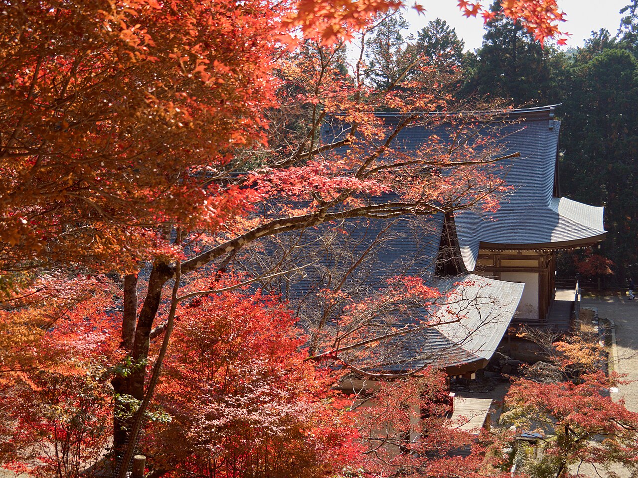 Takao, Kyoto, Part II - TakaoKyoto6142