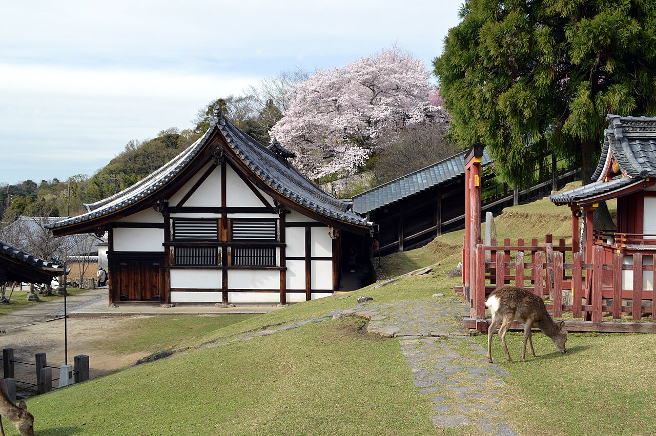 Temple building, shrine, Rōben Sugi and deer below Nigatsu-dō, Tōdai-ji, Nara, 2016